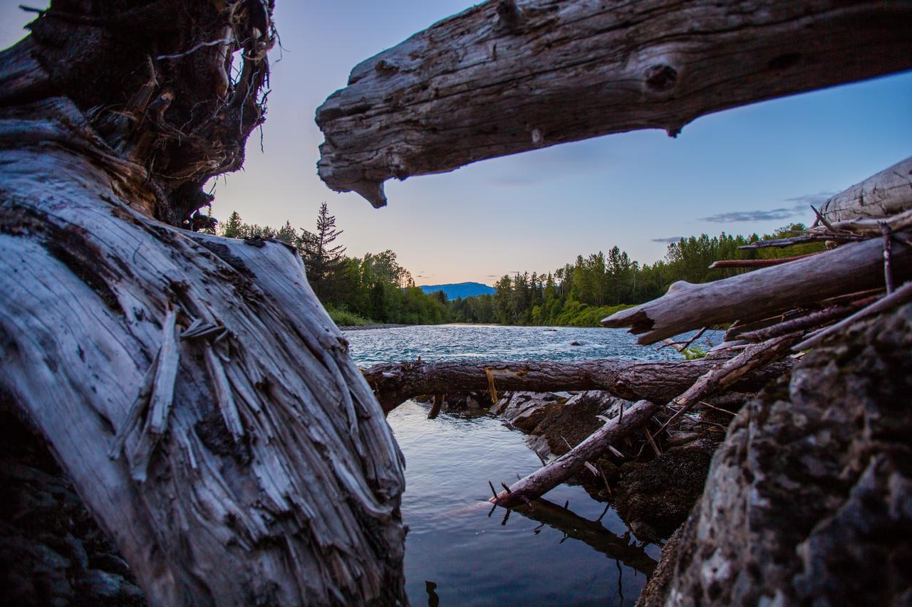 Bear Claw Lodge Kispiox Exterior foto